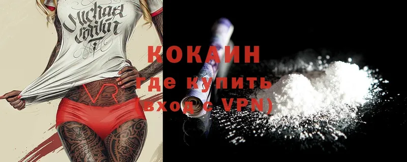 дарнет шоп  Михайловск  Cocaine FishScale 